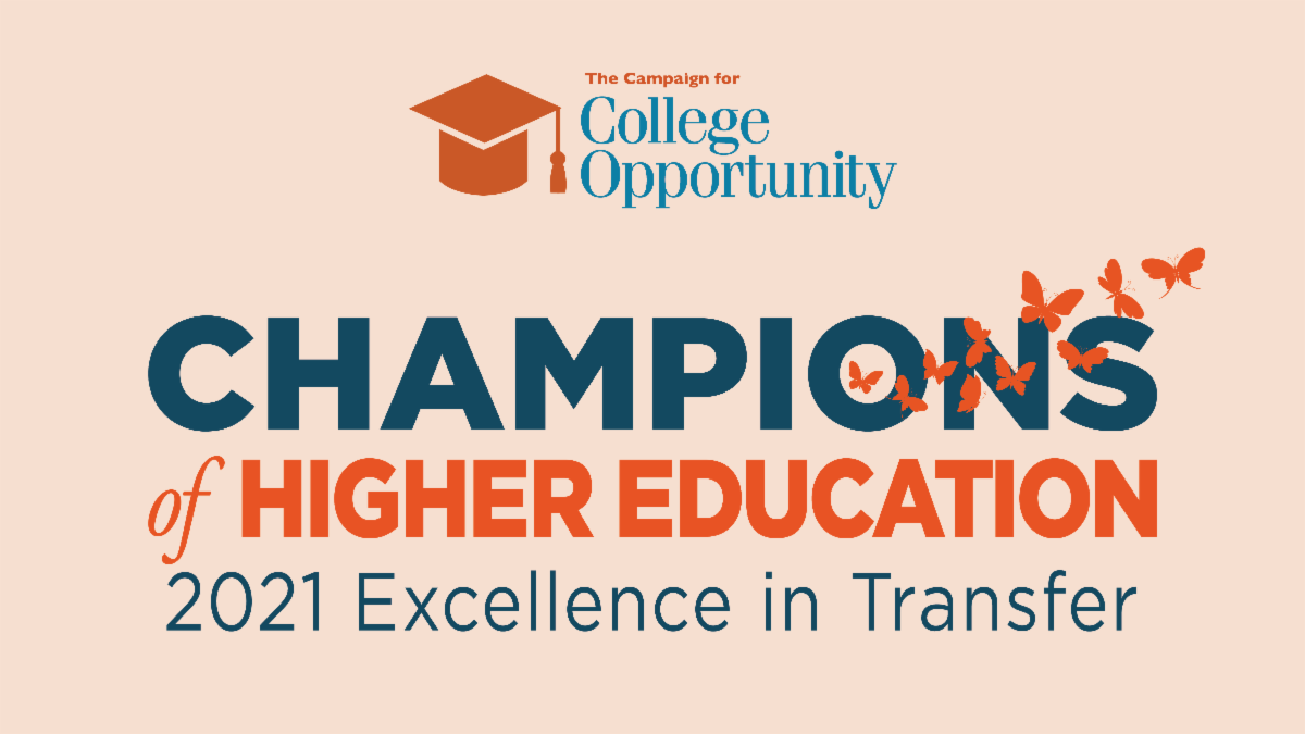 2021 Champions Banner